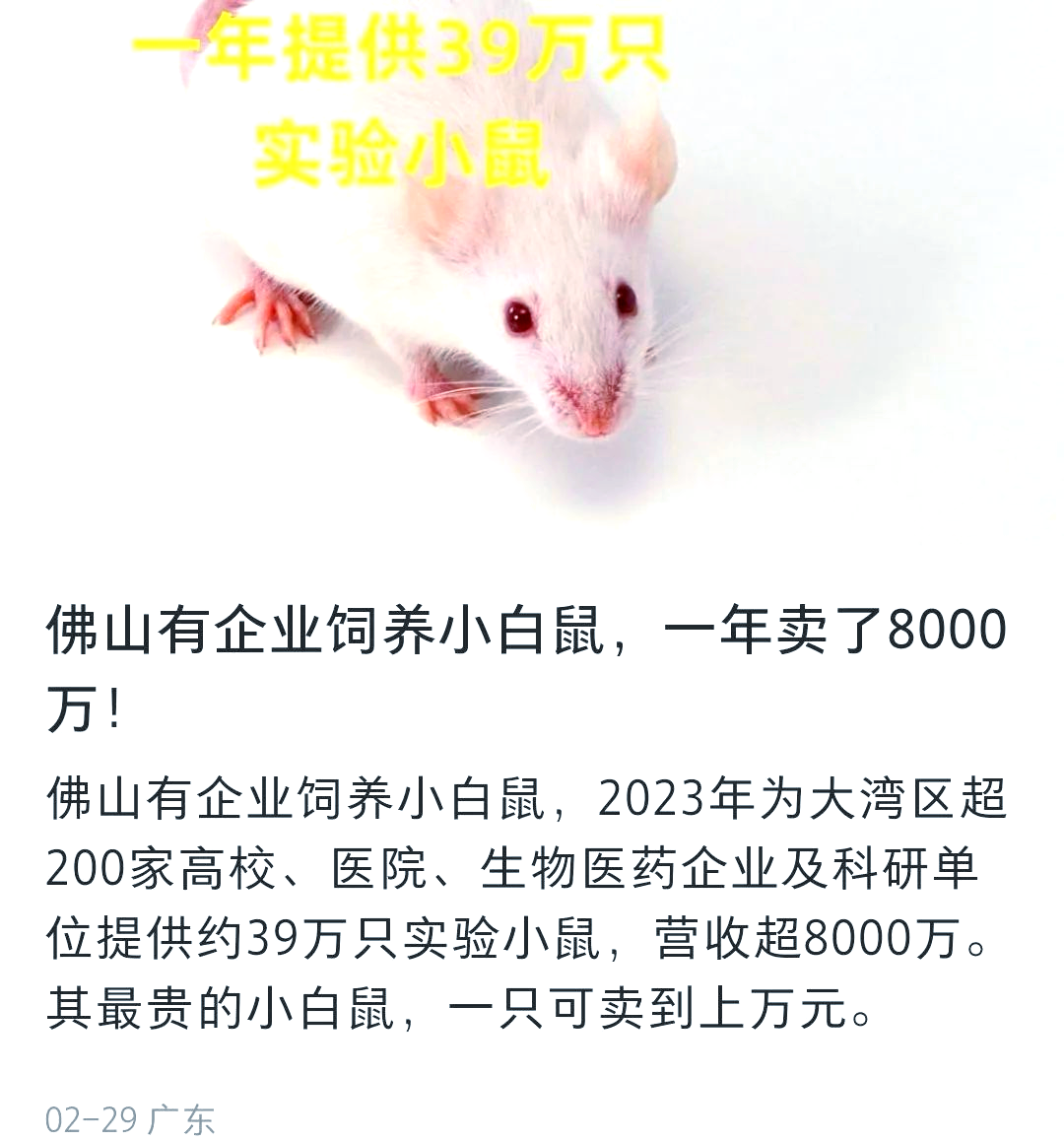 成本小的养殖项目是什么(低成本养殖创业好项目)