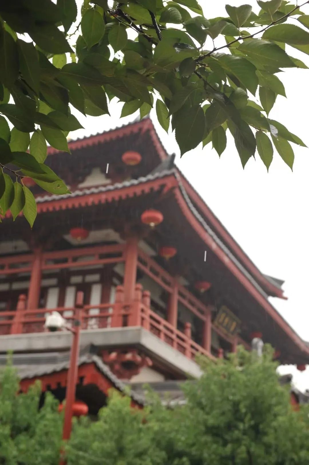 一场西安秋雨一幅长安美景