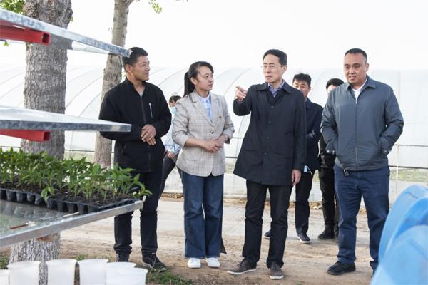 韩春霖深入部分乡镇调研