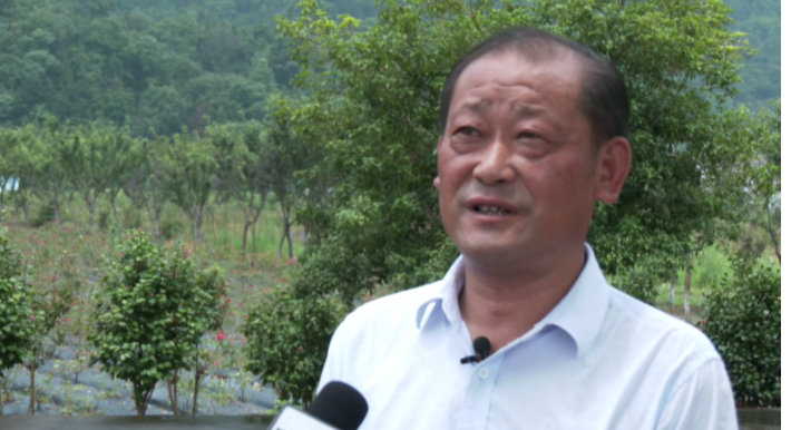 陈燎原:誓将绿水青山变金山银山