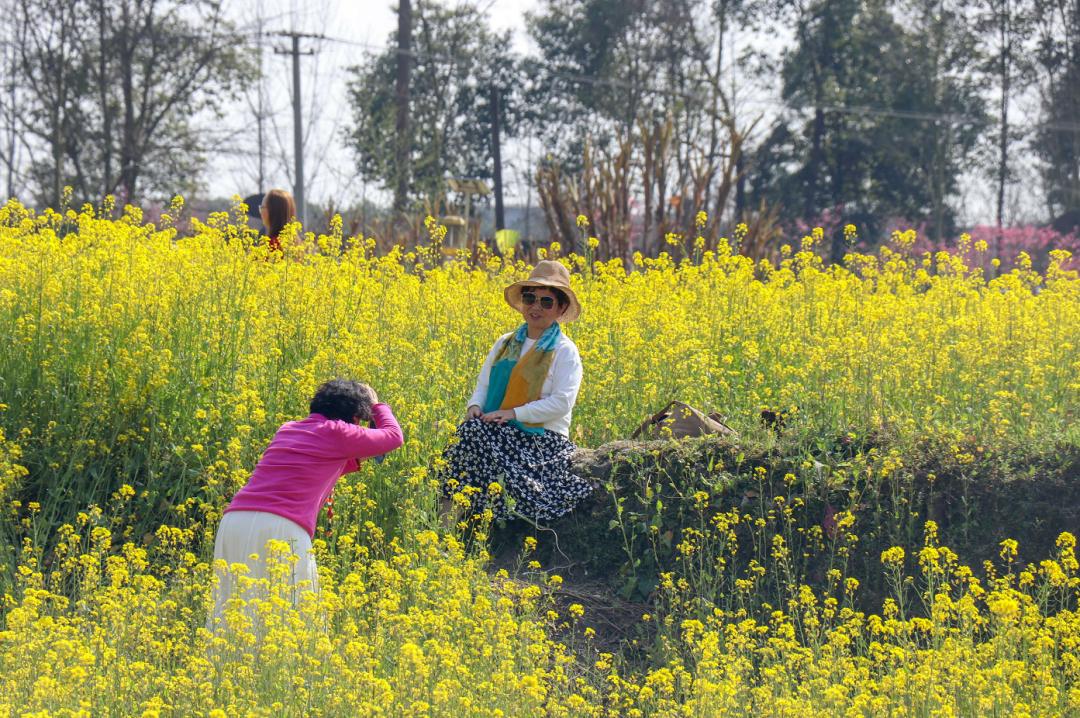 郫都春日出游赏花集结地,你想要的"花花世界"都在这里!