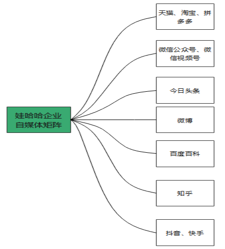 娃哈哈波士顿矩阵图图片