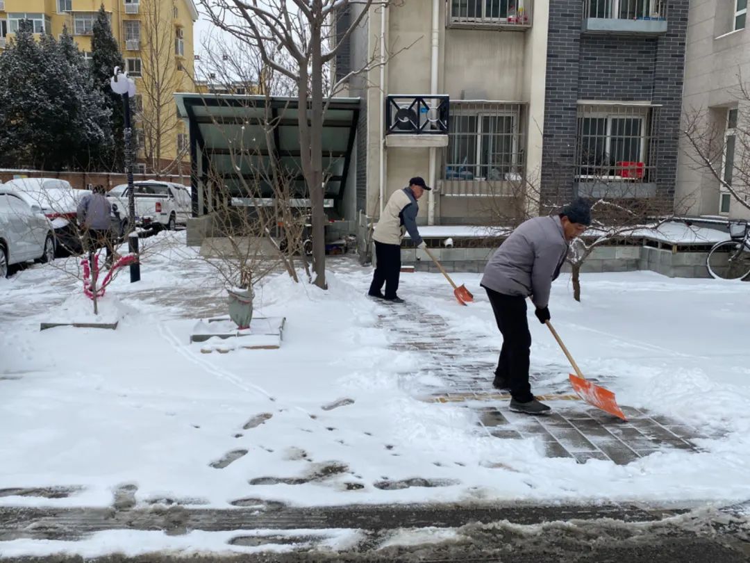 翩跹初雪至瑞雪兆丰年后沙峪勾勒醉美雪景