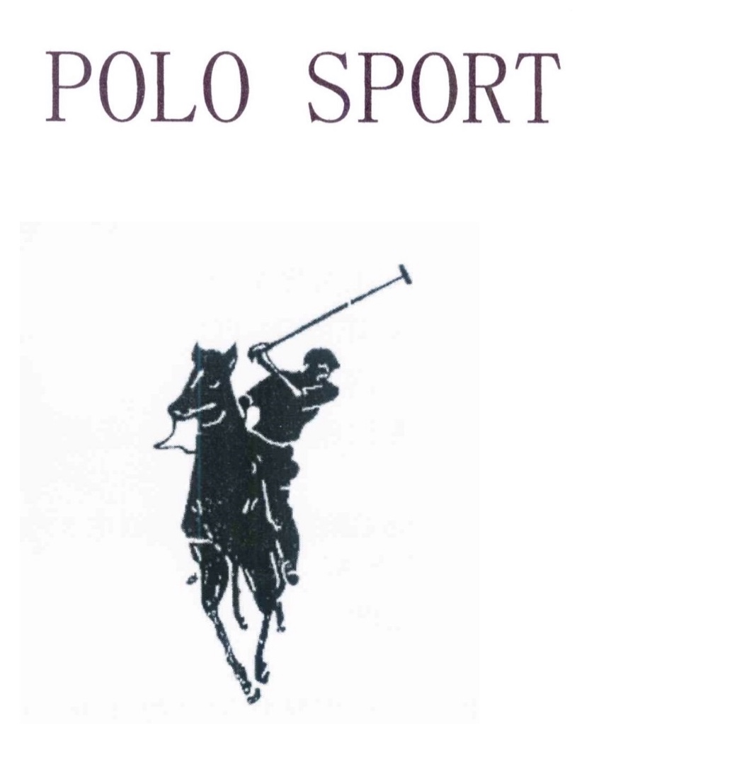 广州爱驰公司商标示例(主要用于其开设的polo sport店铺内)