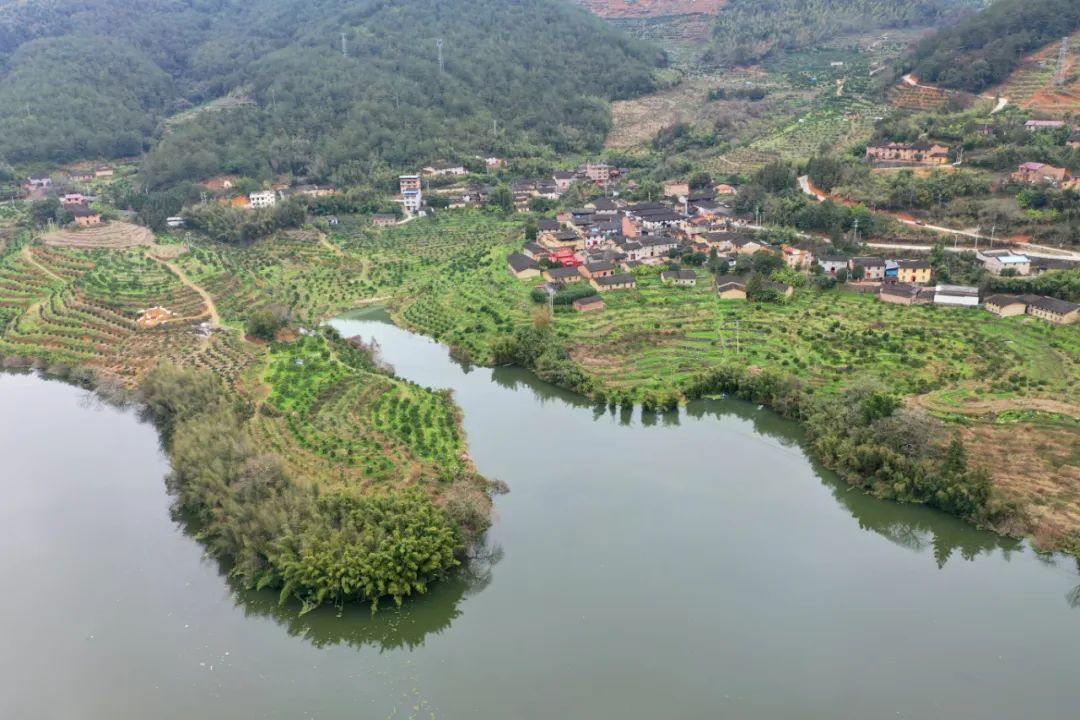 【老区新貌】城西街道龙亭村:老区焕新颜 生活有奔头