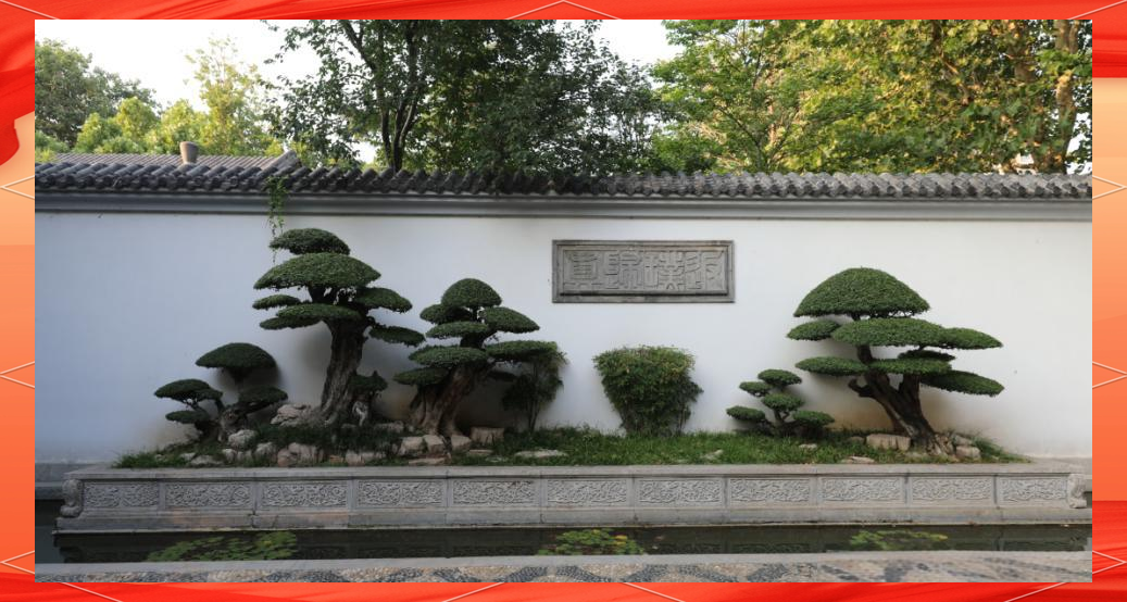 对节白蜡如何种植