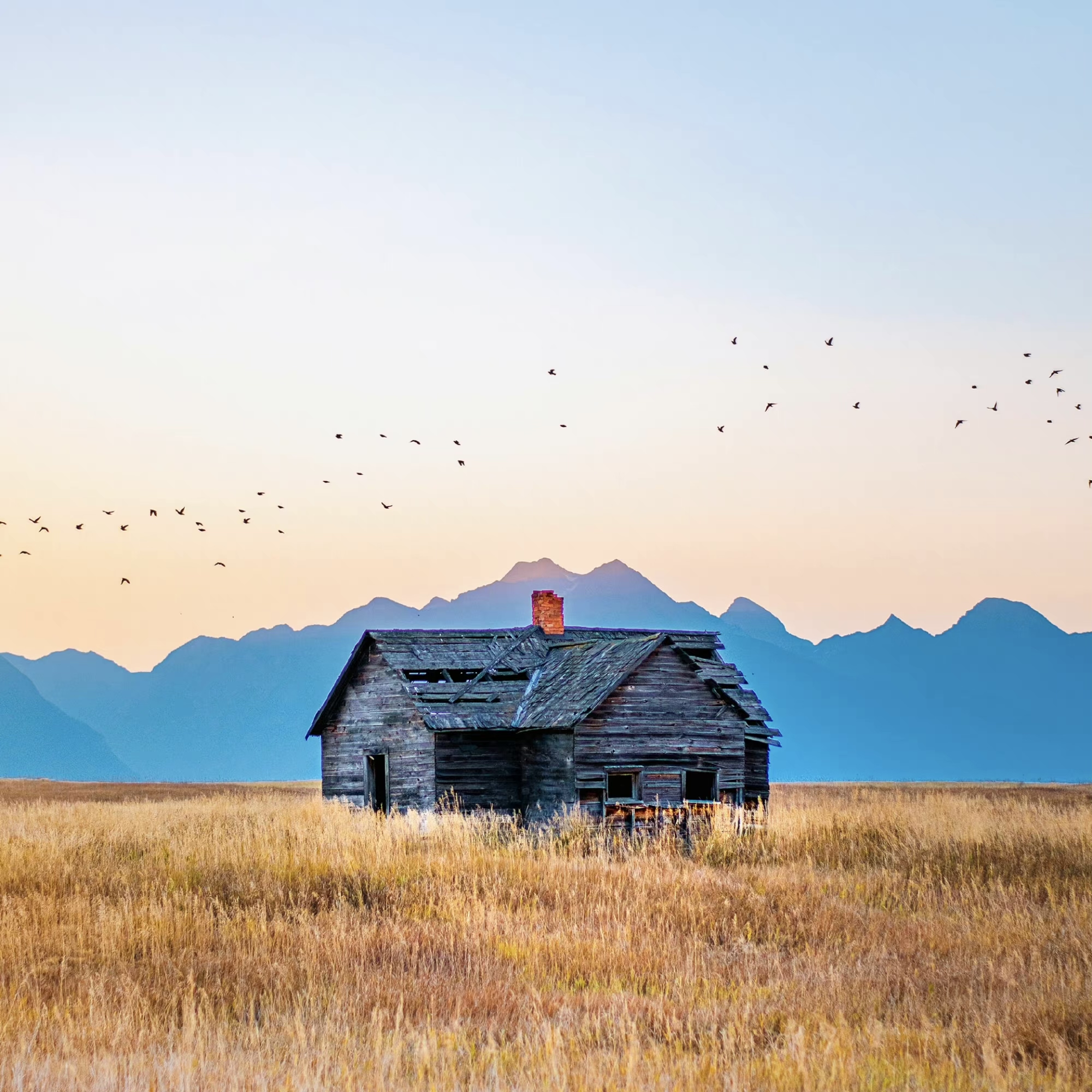 头像|用风景做头像,淡泊明志