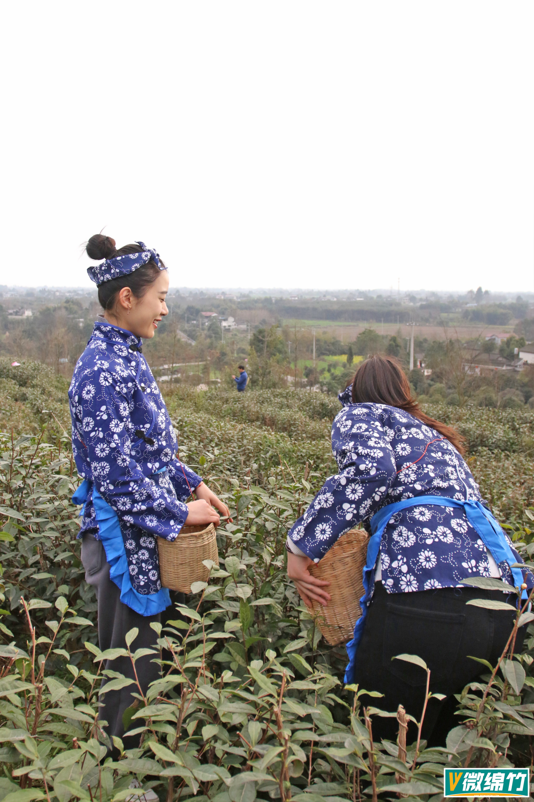 绵竹出名的女人图片