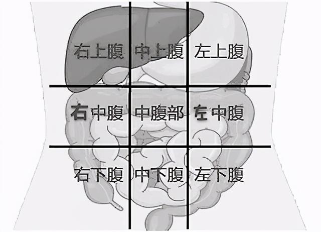 别再说肚子疼 画个九宫格锁定疼痛区