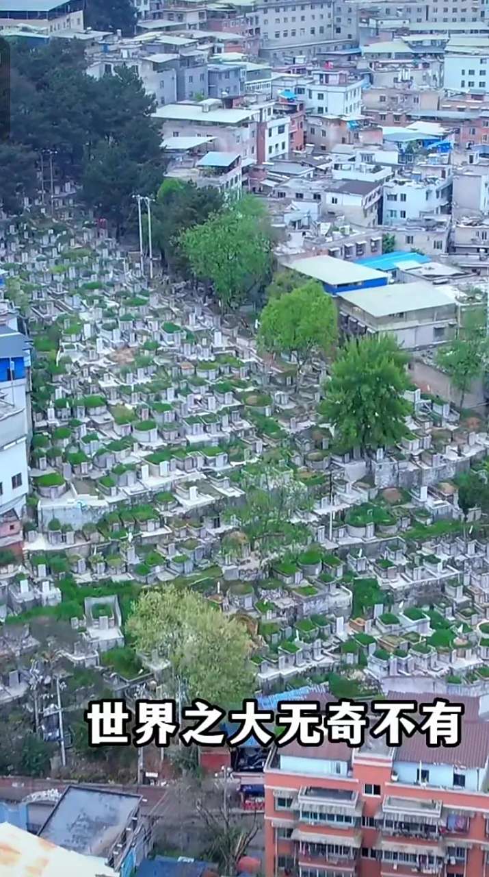 贵州省贵阳市大营坡,有一处世界景观;就是推开窗户就能看到大片坟墓.
