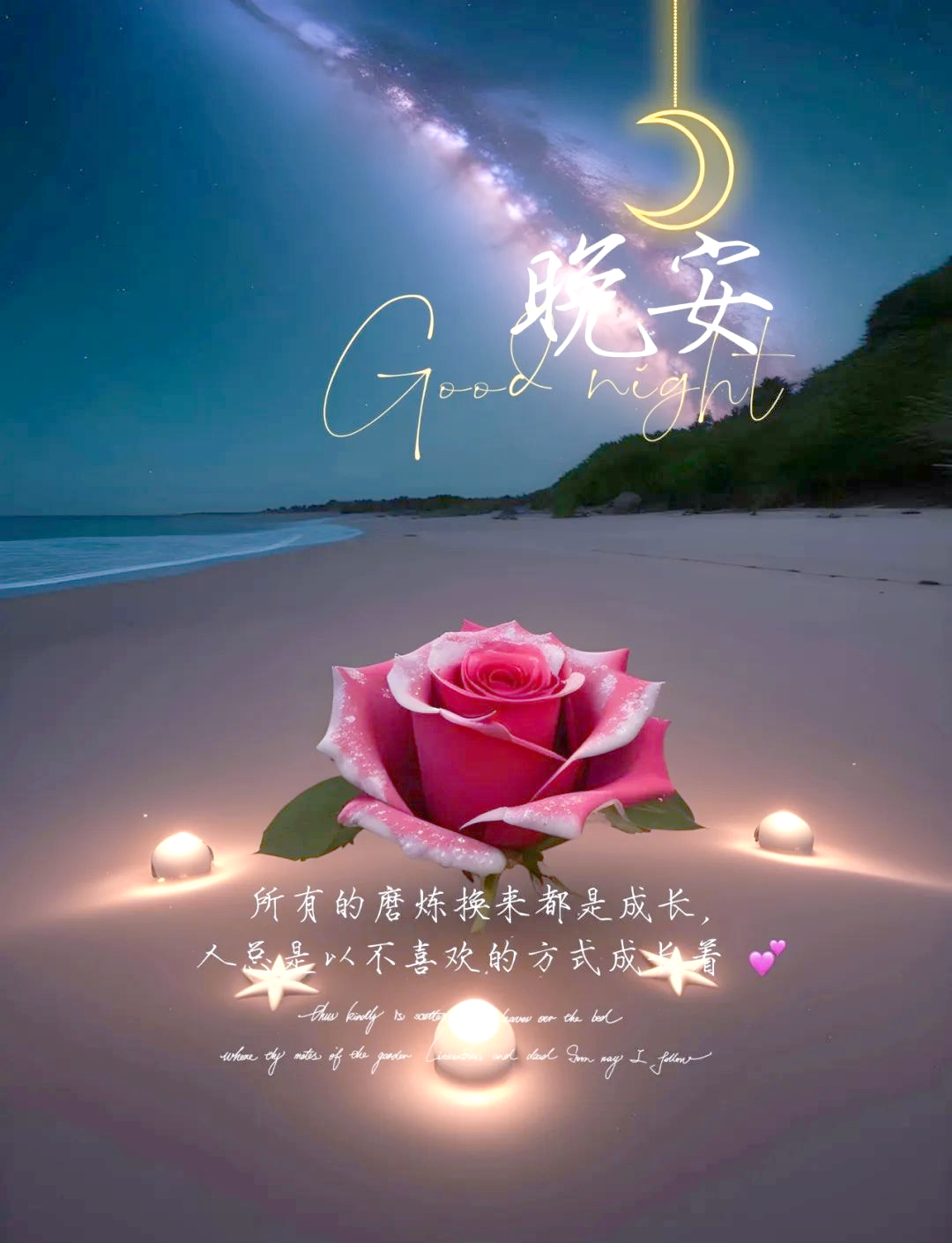 晚安心语:活在当下,珍惜每一刻