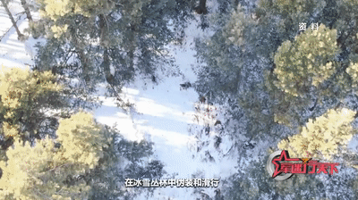 女军迷零下三十度挑战"血狼"特种部队!