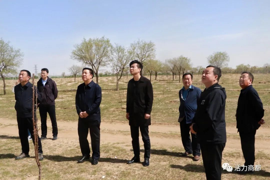 【要闻】市人大常委会副主任刘飞明赴商都县调研