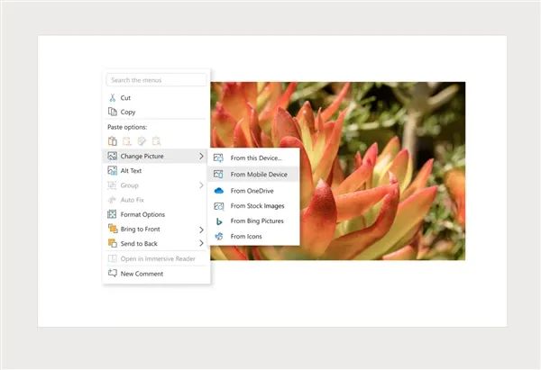 office內測新功能:word/ppt可直接導入手機圖片