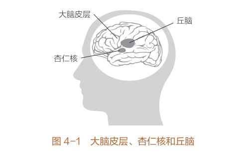 当我们焦虑时,大脑会发生什么变化?居然会