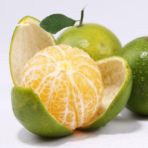 德庆贡柑成熟进行时,您认养的贡柑树又长大了