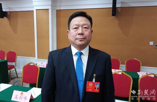 黄冈两会|政协委员凌建平:以宋埠镇为中心建设"百里蔬菜产业走廊"