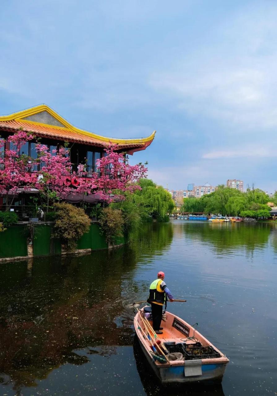 每日一图:美丽公园 ——摄于昆明翠湖公园 #从今日起记录我的2023