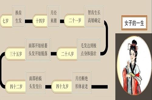 黄帝内经:"女七男八",人一生的"关键点"