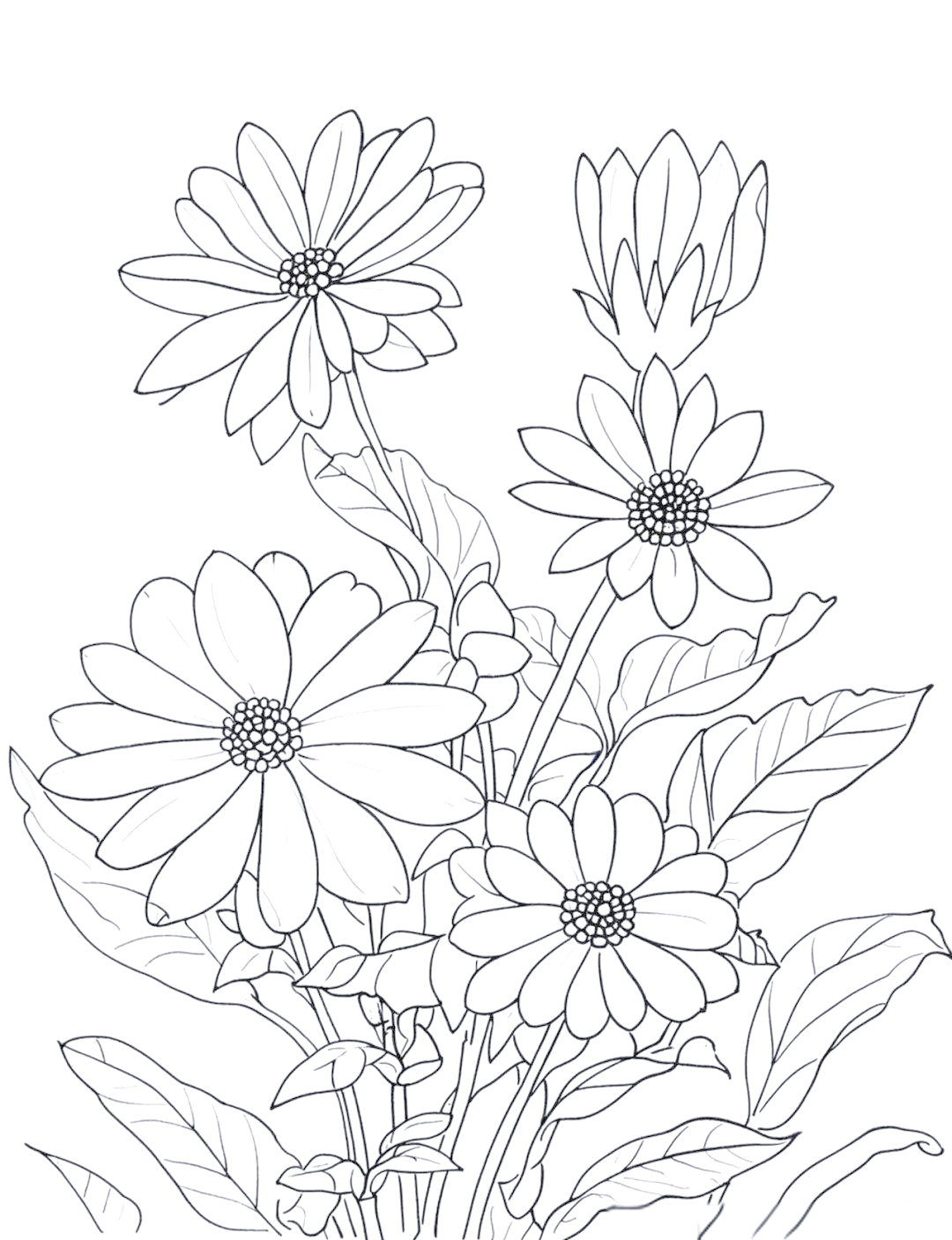 多种花卉黑白线稿简笔画与绘画技巧