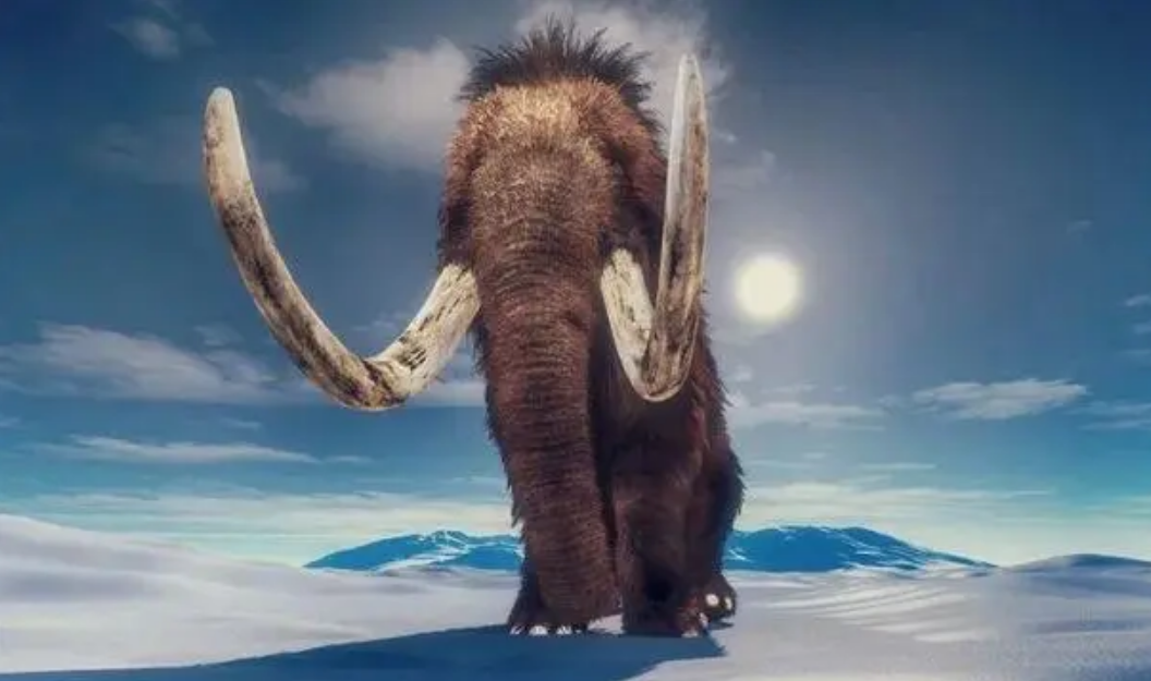 远古人类宁愿捕杀猛犸象,也不敢动小得多的非洲象,原因何在?