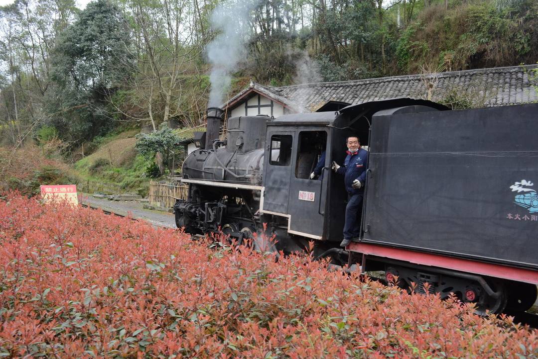 四川犍為嘉陽·桫欏湖旅遊景區提檔升級 