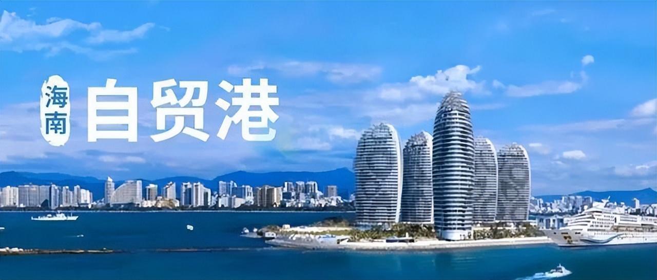 荆棘之路:王威的事业征程