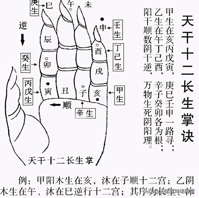 手掌五行图片