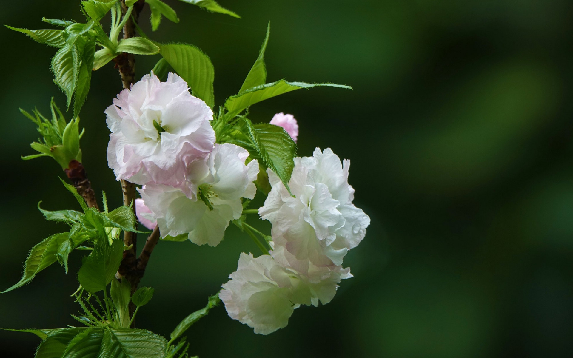 女人越是高贵,越不会炫耀,尤其在三方面