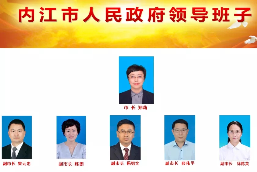 张建萍任内江副市长,此前已任市委常委