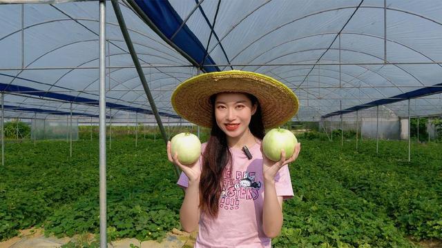 「視頻」深讀佛山丨甘甜爽口,甜過初戀!佛山三水香瓜,夏日甜味拿捏住