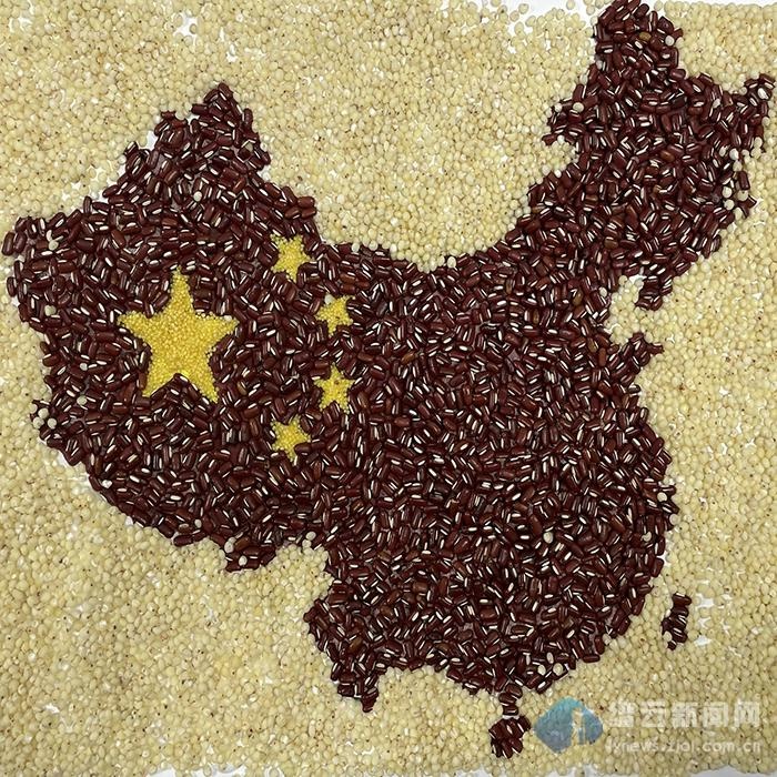 种子贴画苹果图片