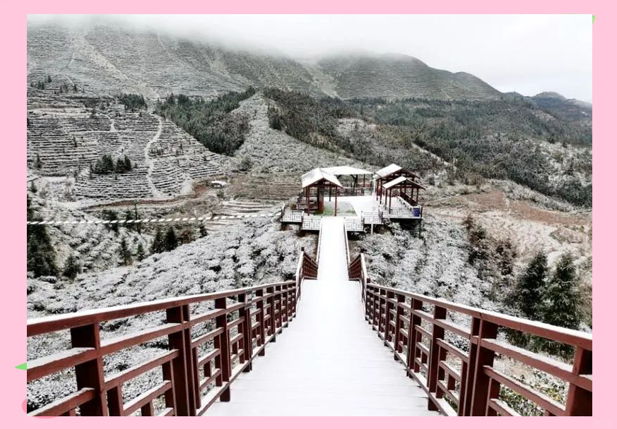 探索鸟王山:珍稀鸟类与生态旅游的完美结合