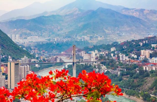 不到四个半小时攀枝花飙拢成都!1月10日起开行