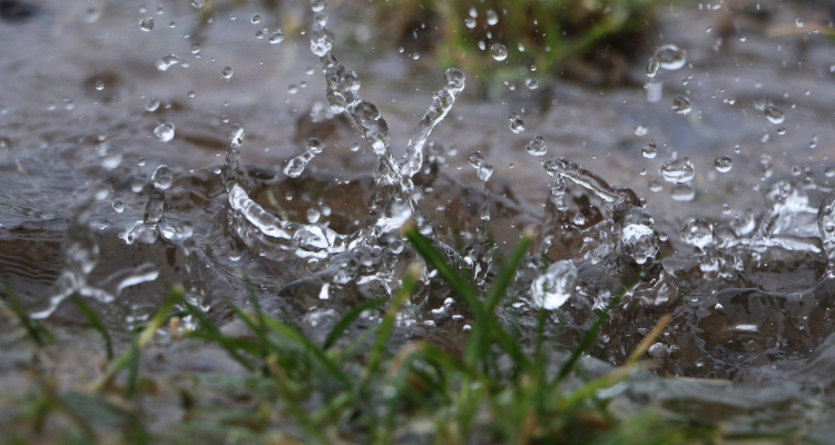 描写夏天倾盆大雨的诗句