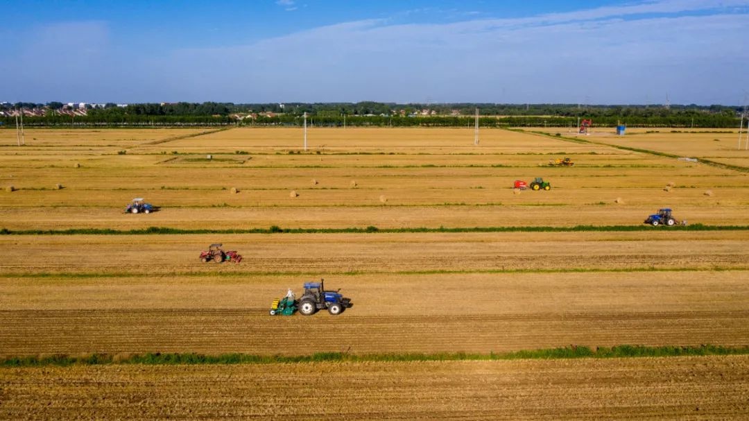 重磅!昌邑市柳疃镇青阜村获评全国乡村治理示范村