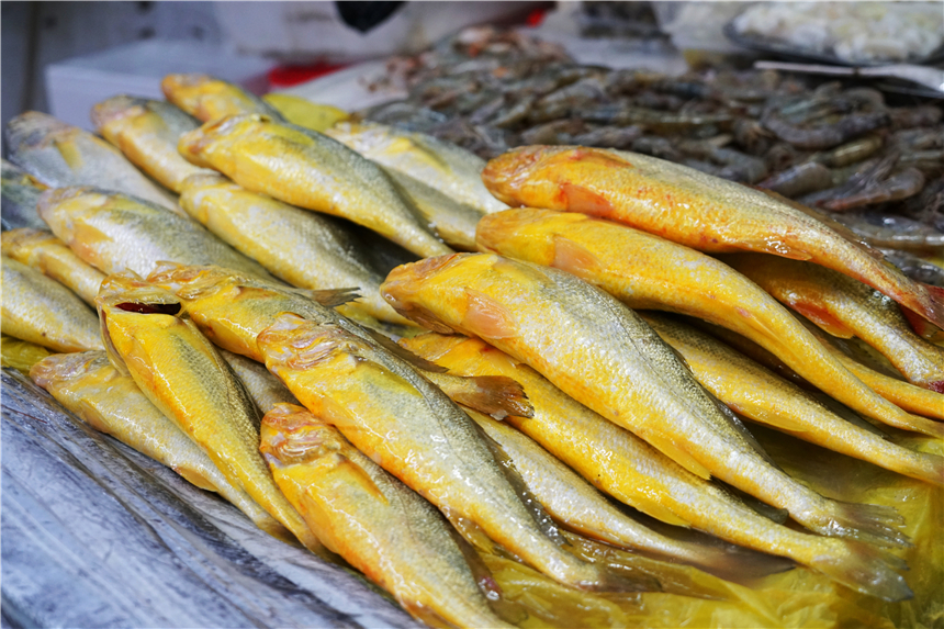 探寻浙江海岛上的海鲜市场,最烟火的人间气息,海鲜都好便宜