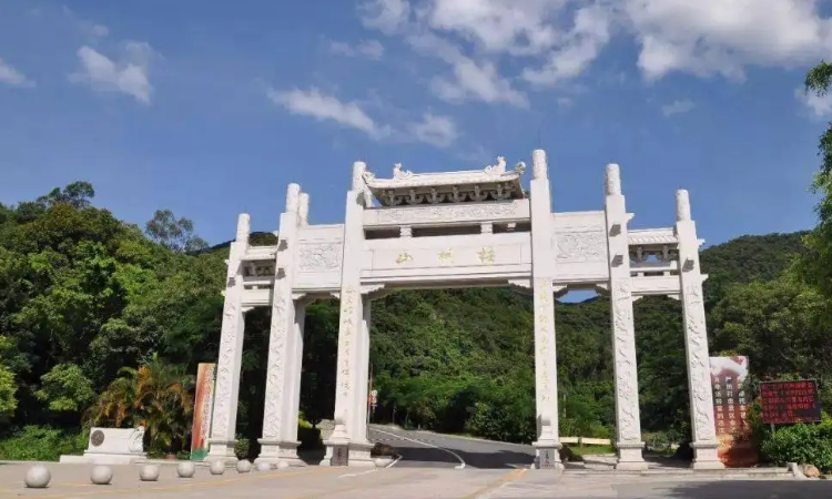 鹏城第一峰海拔多少米?