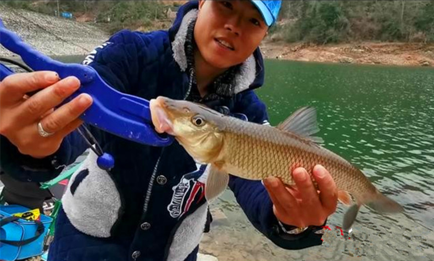 南阳钓友钓获一条"猪嘴鱼!嘴巴形状怪异,长有两道嘴唇