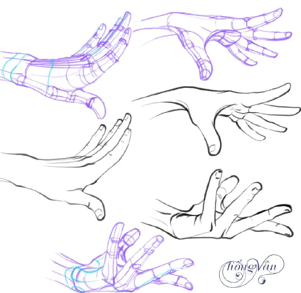 绘画资源|全面手部素材,众多手型等你来练习!