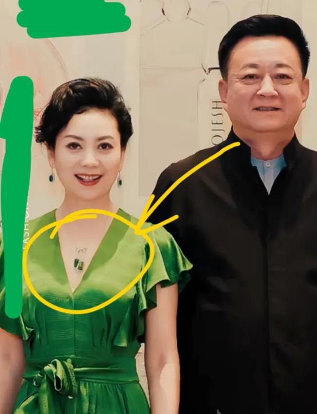 朱军第二任老婆照图片