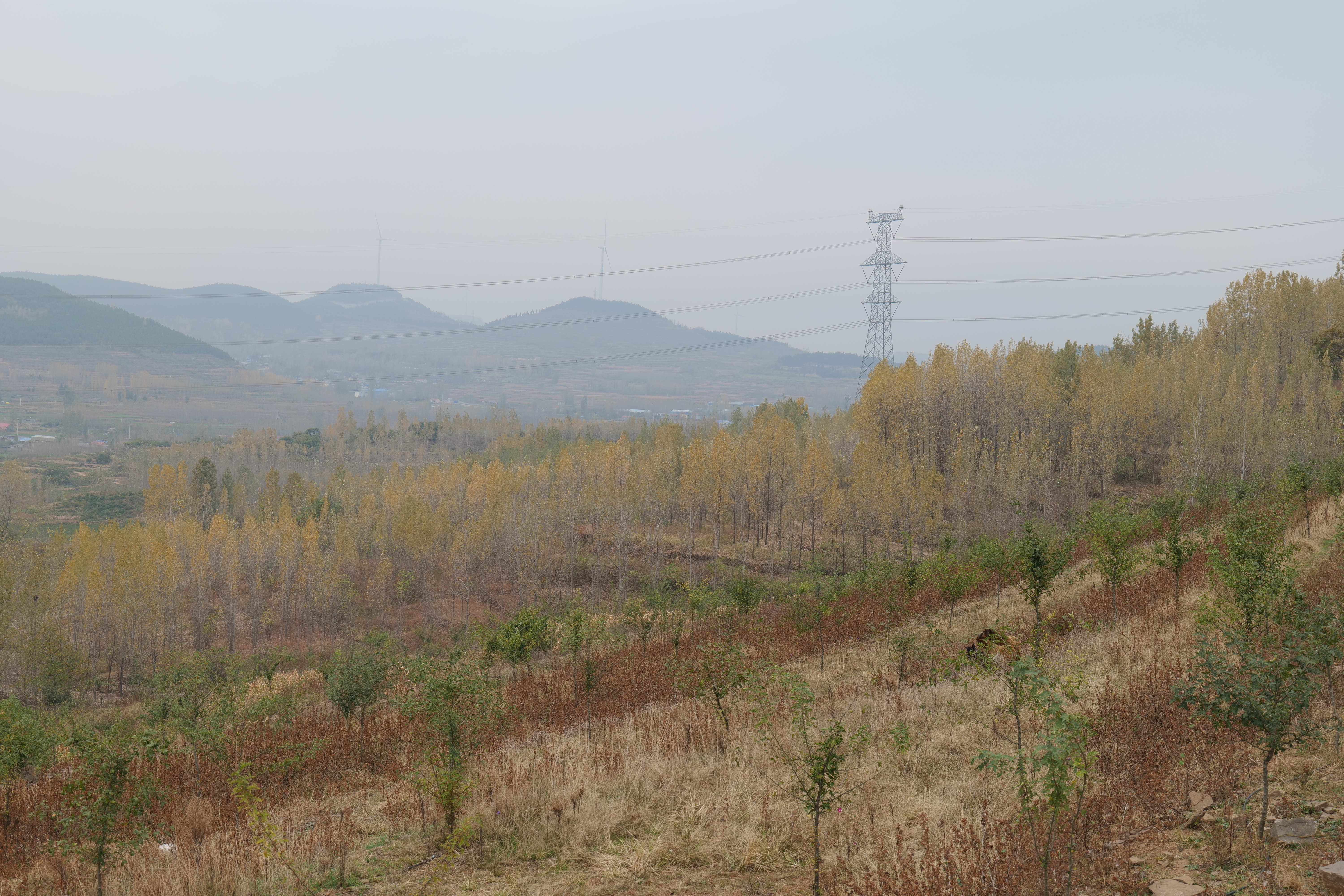 巨龙山旅游风景区图片