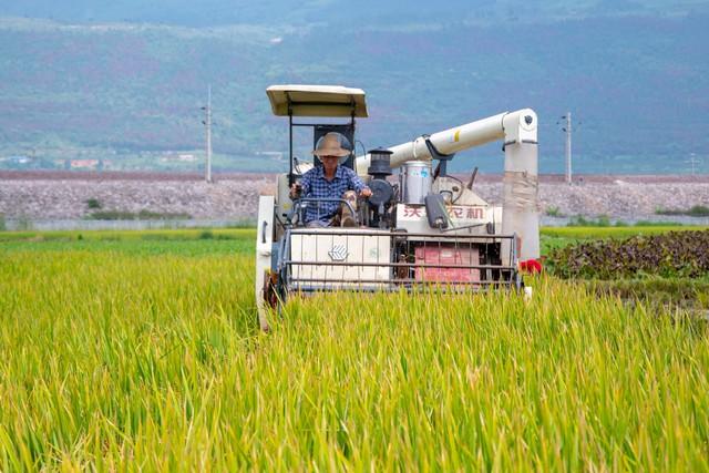 日本微耕农业:小型机械引领农业新纪元