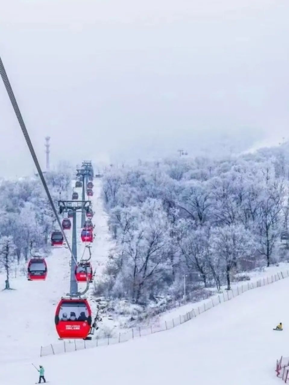 全國最好的滑雪場在哪兒?