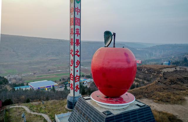 白水苹果亿万人民的口福!