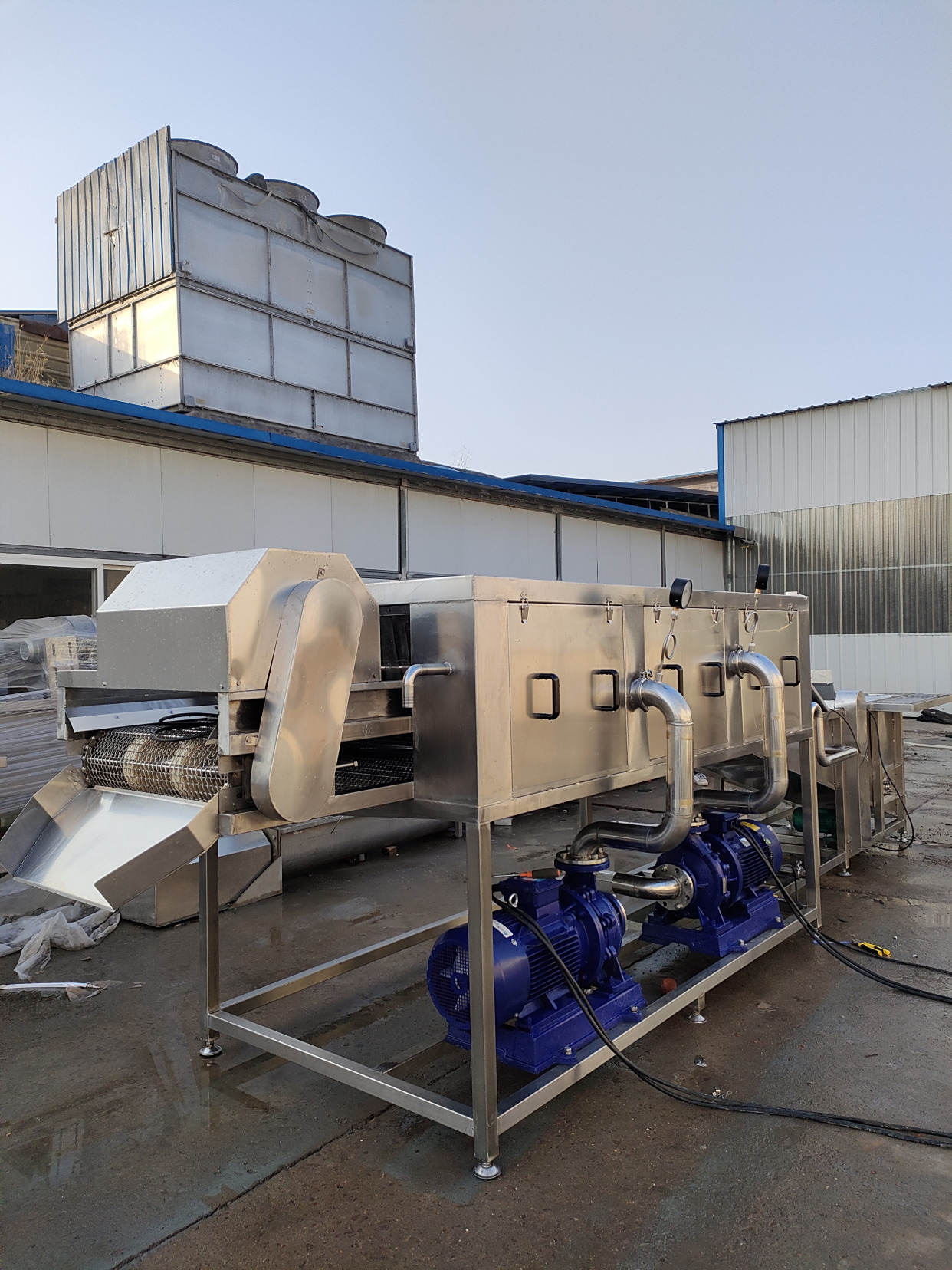 大姜清洗机 洗姜机器