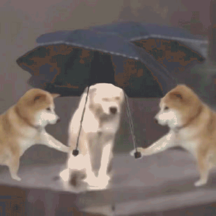 受东到东南气流影响,粤西雨势较大,珠三角和粤北局部也