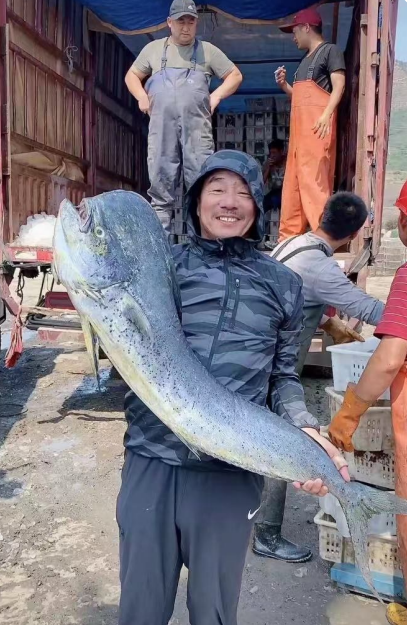 羊口渔民捕获罕见鬼头刀鱼