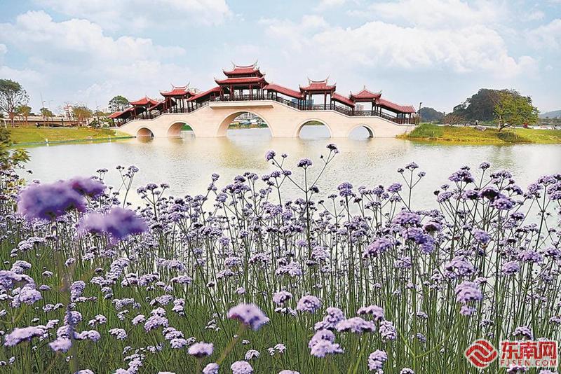 漳州西湖生态园停建了图片