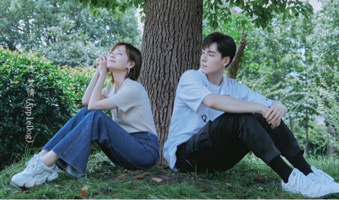 《密室困游鱼》十年,白月光变成枕边人,吴白的坚守让我为之动容